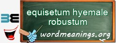 WordMeaning blackboard for equisetum hyemale robustum